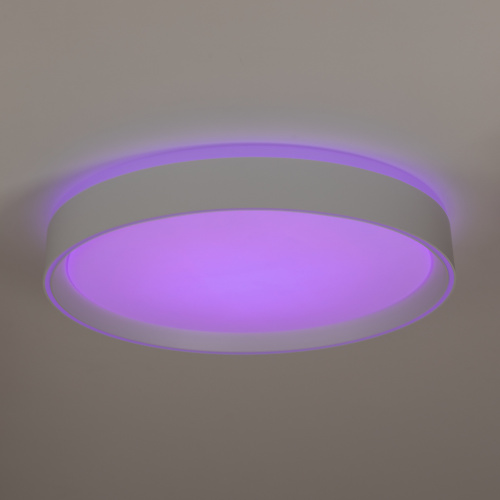 Citilux BOSS CL751350G LED RGB Светильник с пультом Белый фото 6
