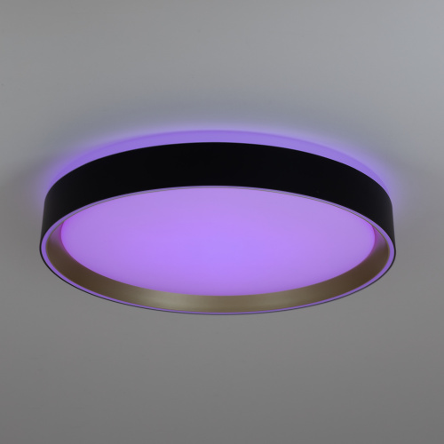 Citilux BOSS CL751351G LED RGB Светильник с пультом Чёрный с Золотом фото 10